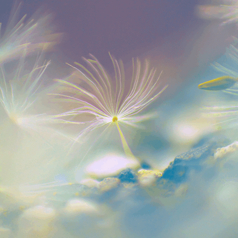 Souffle breathwork